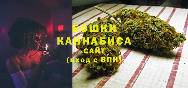 метадон Новодвинск