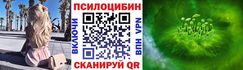 ссылка на мегу ТОР  Новосибирск  Галлюциногенные грибы Magic Shrooms  продажа наркотиков 