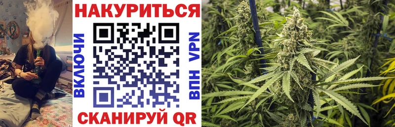 Канабис SATIVA & INDICA  как найти закладки  Новосибирск 